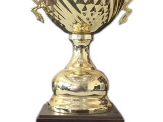 TOP 10 thương hiệu vàng Châu Á Thái Bình Dương